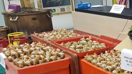 Six men arrested for processing ketum leaves