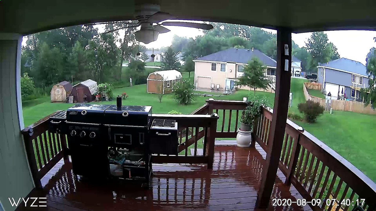 Lightning Strikes Neighbor's Tree