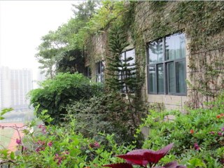 Lush greenery at Country Garden's headquarters