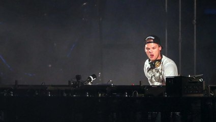 Electronic dance music star, DJ Avicii found dead