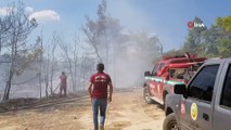 Manavgat'ta aynı saatlerde dört ayrı noktada orman yangını