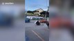 Loyal pet dogs pull disabled owner along road in his wheelchair