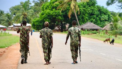 Could fighting in northern Mozambique destabilise the region? | Inside Story