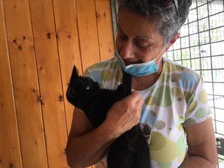 Journée internationale du chat noir : mille et une raisons d'en adopter un !