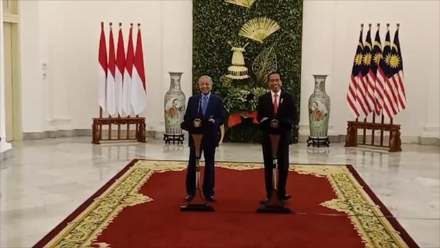 Dr M attacks European hypocrisy in anti-palm oil campaign