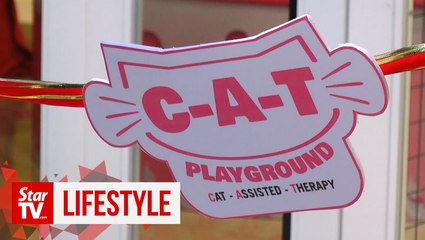 World’s First Selfie Sensory C-A-T Playground launched in Malaysia