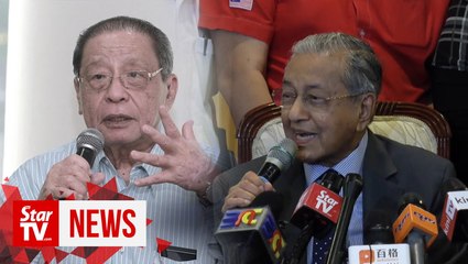 Dr M brushes off claims Kit Siang behind Bersatu’s formation