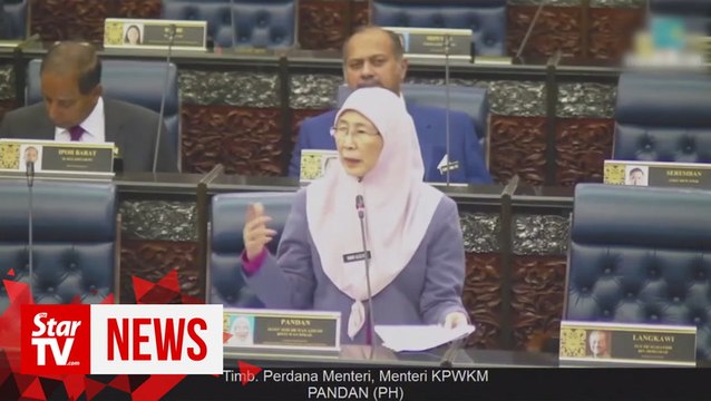 Wan Azizah: Job opportunities for refugees will not be made at expense of Malaysians