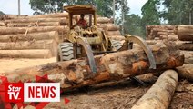 Govt has no plans to amend constitution to curb deforestation