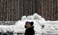 Eastern US braces for winter 'bomb cyclone'