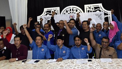 Johor NGO slams Tun M over remarks on late Sultan