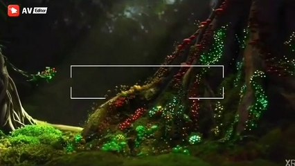 O ALLAH enlighten our hearts 