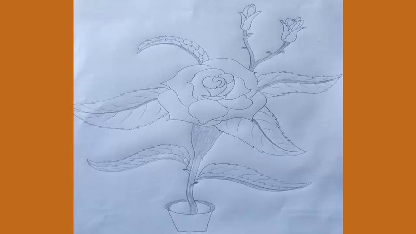 How to draw a beautiful roses with pencil step by step flower pot