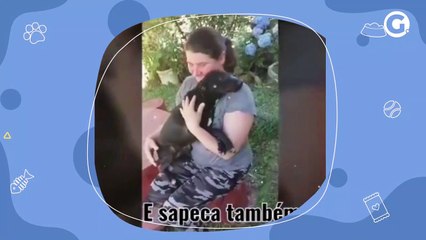 Concurso vai premiar vídeos que incentivam a adoção de pets em Santa Maria de jetibá