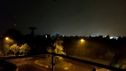 Wild Storm Snaps Centuries Old Tree