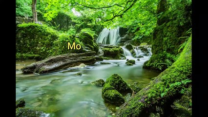 Relaxing Romantic Music for Stress Relief & Peaceful Moments 🎶 (2020 Playlist)