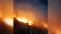Orman yangınında 50 hektar alan zarar gördü (2) - MALATYA