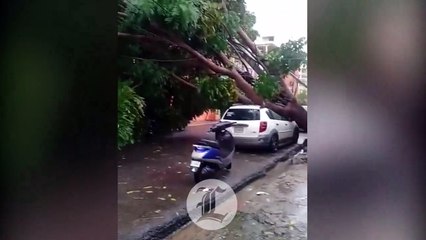 Lluvias y vientos de Laura provoca caos