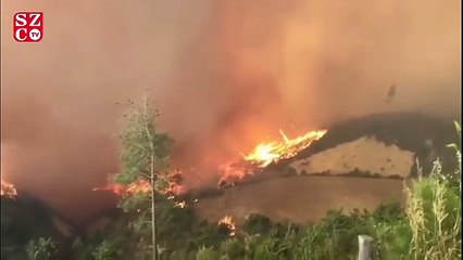 Adana Kozan'da yangın