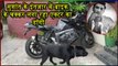 Sushant Singh Rajput Dog Fudge Roams Around Late Actors Bike