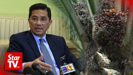 Azmin: Idle government land can be used for agriculture