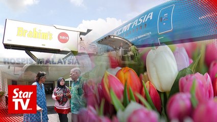 Tulips for a good cause