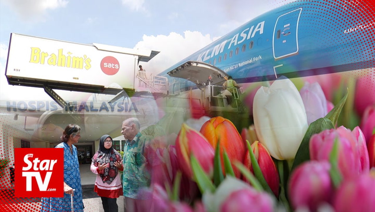 Tulips for a good cause