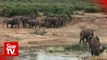 OFF THE BEAT: Lion encounter in Uganda