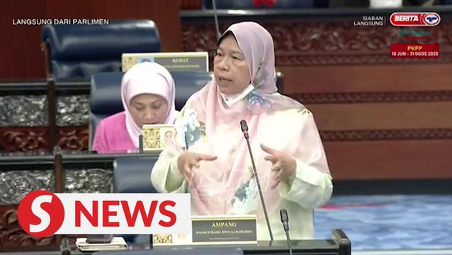 Proposed local council elections off the table, says Zuraida