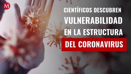Científicos descubren vulnerabilidad en la estructura del coronavirus