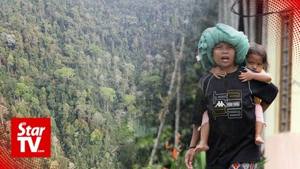 Orang asli kept in the dark over forest plantation project