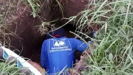 [NTV 310818] Rescue of dog trapped for week in roadside sewer brings tears of joy to owner
