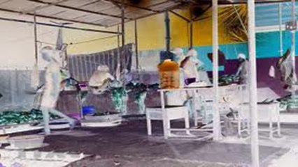 Lợn "không phép" ngang nhiên buôn bán nhiều nơi | VTC