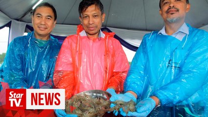 FRI’s new breeding technology expected to boost prawn production