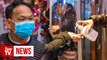 Health tips for air travel as flu and coronavirus worries rise