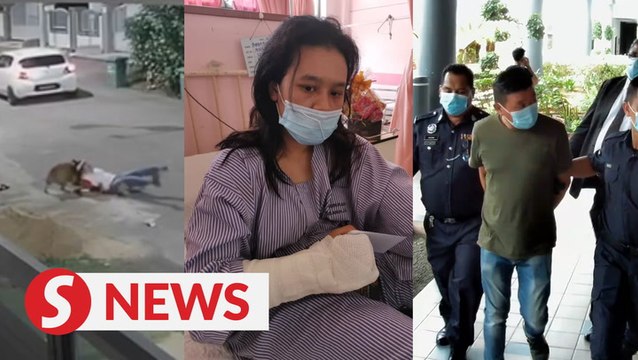 Fisherman fined RM2,000 after pet dog attacks woman