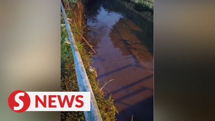 Télécharger la video: Water crisis averted after man alerts authorities about illegal waste dumping into river