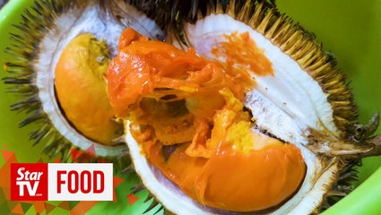 DURIAN ADVENTURE: Red durian takes centre stage