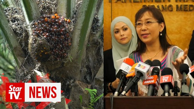 Palm oil boycott threat: Minister calls for calm ahead of Deepavali celebration