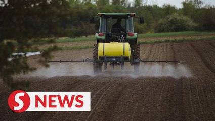 China orders firms to stop buying US farm goods