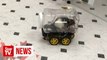 Scientists successfully train rats to drive tiny cars