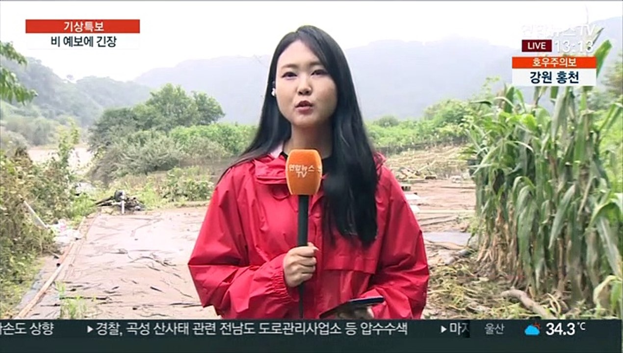 임진강 하류 마을, 주말 비 예보에 다시 긴장