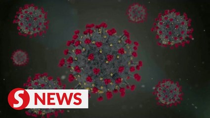 Covid-19: Fact versus fiction