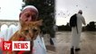Meet 'father of kittens' who feeds animals of Jerusalem's al-Aqsa mosque