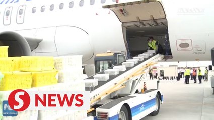 Download Video: China's Xinjiang arranges charted cargo flights to transport fresh fruit