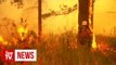 'Too late to leave': Bushfires threaten Australia