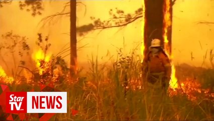 Descargar video: 'Too late to leave': Bushfires threaten Australia