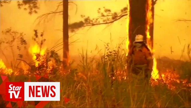 'Too late to leave': Bushfires threaten Australia