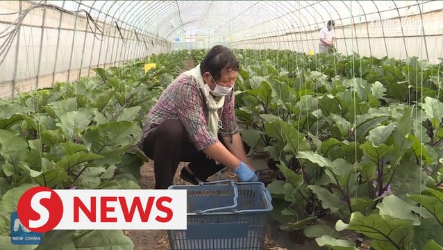 Beijing assured of sufficient food supply