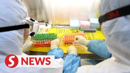 WHO says the 'hypothesis' behind China's new outbreak needs further testing